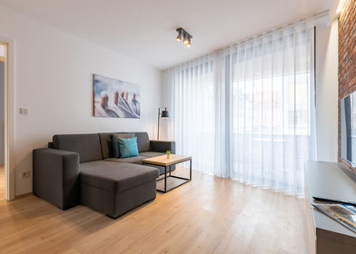 Entire fully furnished flat in Regensburg