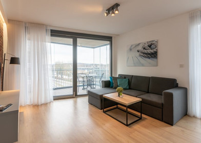 Entire fully furnished flat in Regensburg