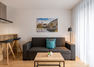 Stylowe mieszkanie typu studio w Regensburg