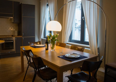 Stylowe mieszkanie typu studio w Bruxelles/bruksela