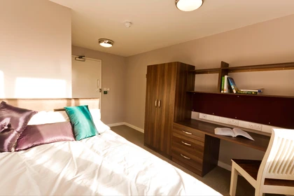 Chambre à louer avec lit double Birmingham