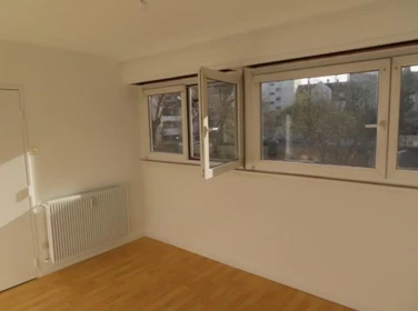 Entire fully furnished flat in Strasbourg