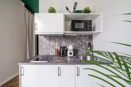 Logement entier à Krišjāņa Barona iela, Centra rajons, image 4 de 10