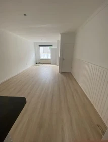 Alojamiento con 3 habitaciones en Enschede