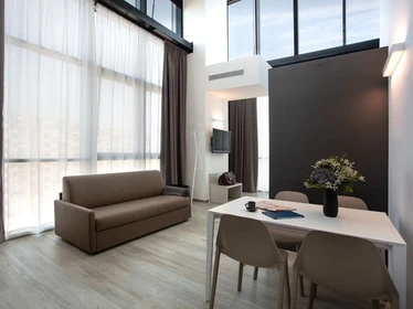 Venezia de modern ve aydınlık daire