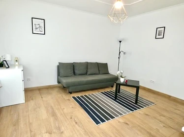Entire fully furnished flat in Bydgoszcz