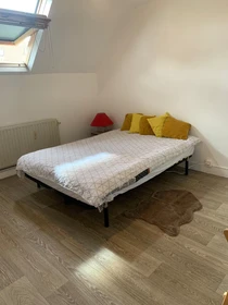 Room for rent in a shared flat in Schaerbeek