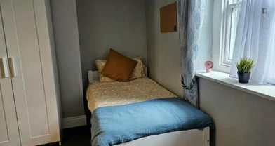 Habitación privada barata en Dublin