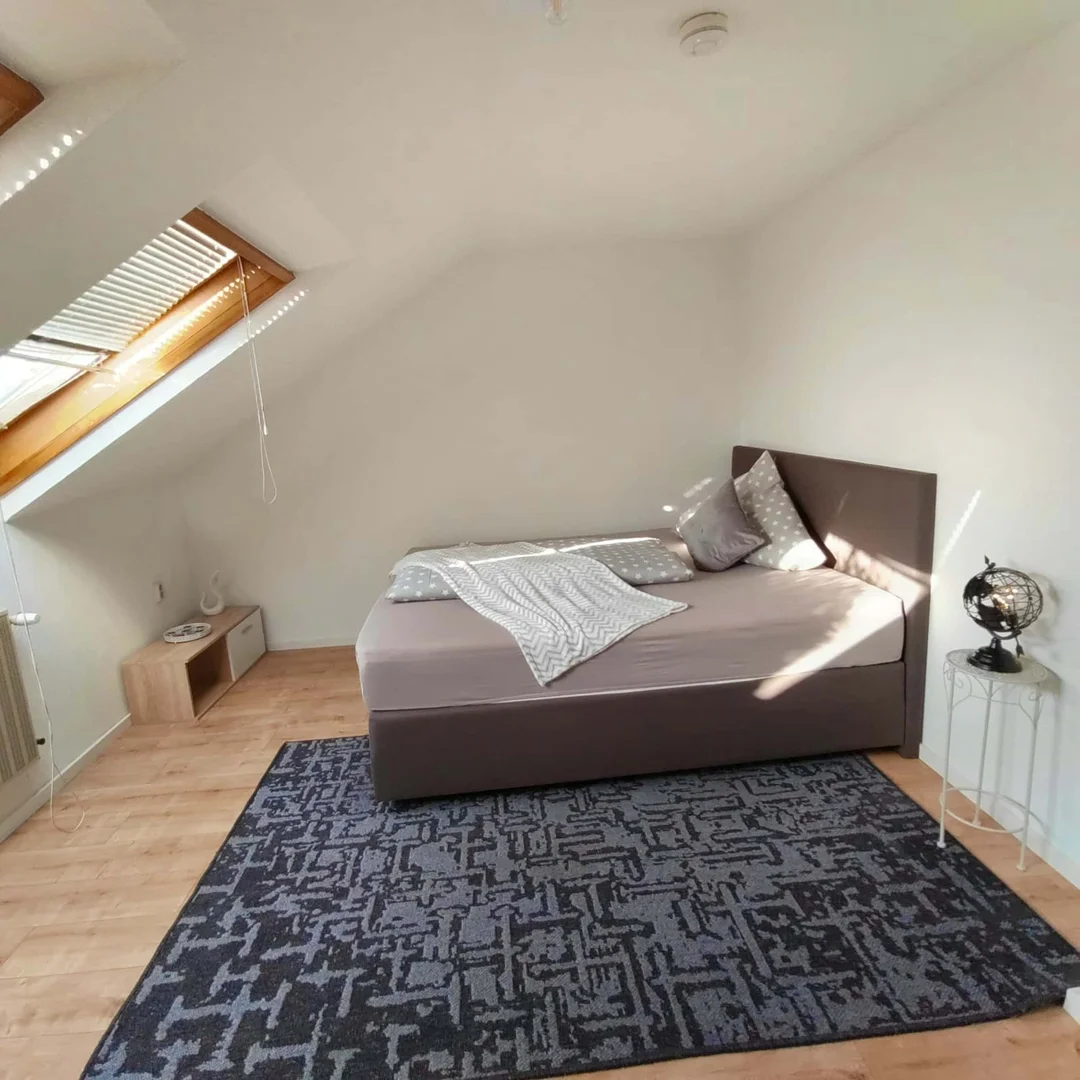 Comfortable and spacious student room in 