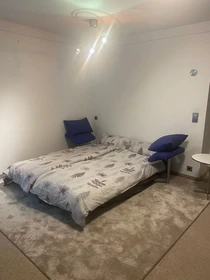 Bright private room in Freiburg Im Breisgau