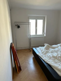 Room for rent in a shared flat in Graz