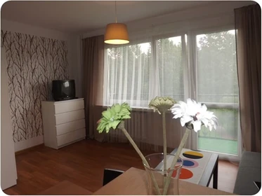 Alojamiento con 3 habitaciones en Katowice