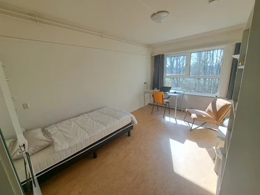 Quarto para alugar com cama de casal em Nijmegen