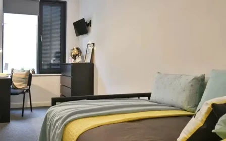 Chambre à louer dans un appartement en colocation à Bath