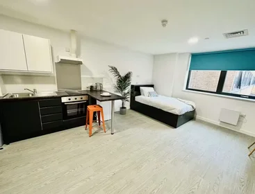 Privatzimmer in der AGARD STREET, DERBY, DE1 1DZ, bild 11 von 34