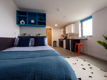 Privatzimmer in der AGARD STREET, DERBY, DE1 1DZ, bild 14 von 34