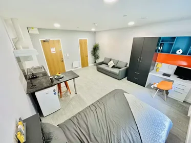 Privatzimmer in der AGARD STREET, DERBY, DE1 1DZ, bild 16 von 34