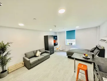 Privatzimmer in der AGARD STREET, DERBY, DE1 1DZ, bild 18 von 34