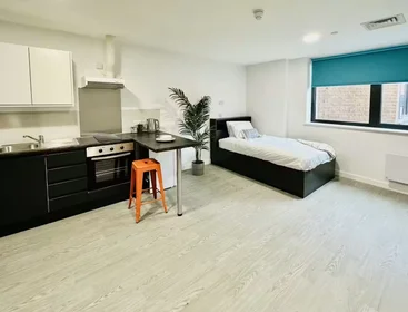Privatzimmer in der AGARD STREET, DERBY, DE1 1DZ, bild 20 von 34