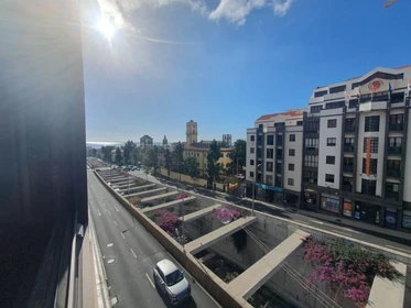 Alojamiento situado en el centro de Madeira