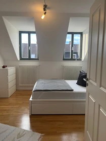 Bright private room in Braunschweig