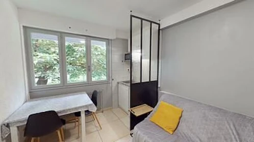W pełni umeblowane mieszkanie w Grenoble