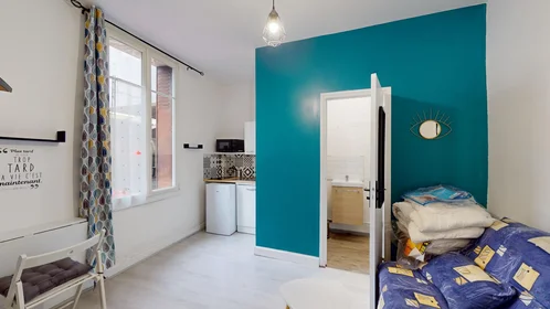 Stanza privata in 53 Boulevard Jean Royer, immagine 1 di 22