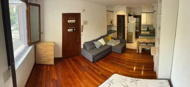W pełni umeblowane mieszkanie w Donostia/san Sebastián