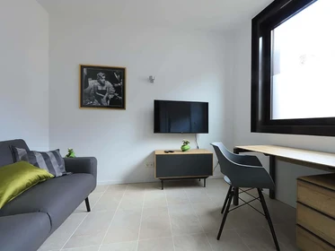 Luminoso e moderno appartamento a Bonn