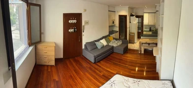 Wspaniałe mieszkanie typu studio w Donostia/san Sebastián