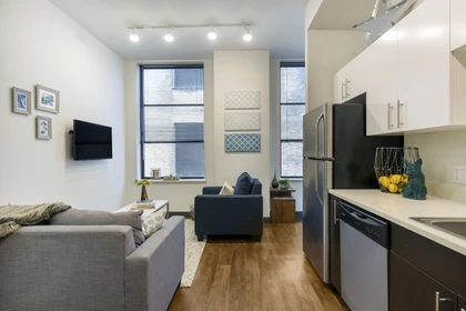 Luminoso e moderno appartamento a Chicago