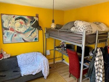 Zimmer mit Doppelbett zu vermieten groningen