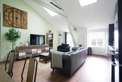 Private room at 38 Rue Sellier, 54000 Nancy, France, image 9 of 18