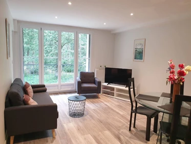 Room for rent in a shared flat in tours