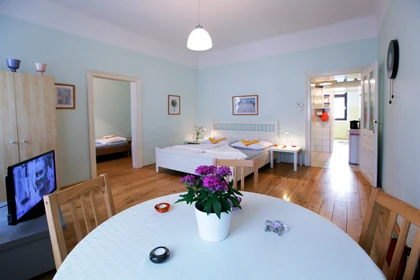 Accommodation with 3 bedrooms in Wien