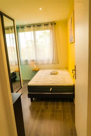 Chambre à louer dans un appartement en colocation à Villeurbanne