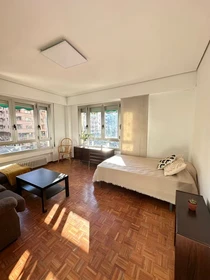 Chambre à louer dans un appartement en colocation à Logroño