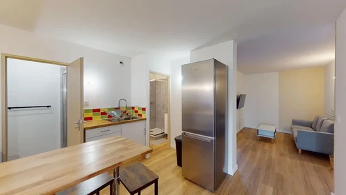 Stanza privata in Avenue Winston Churchill, Mirail-Reynerie-Bellefontaine, immagine 5 di 10