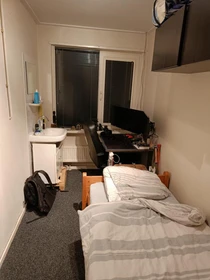 Eindhoven de çift kişilik yataklı kiralık oda
