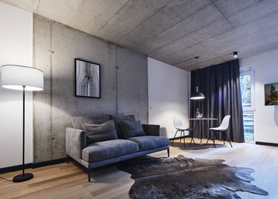 Furnished studio in wolfsburg