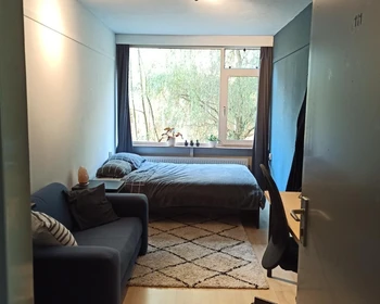 Room for rent with double bed Enschede