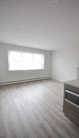Entire fully furnished flat in Winnipeg