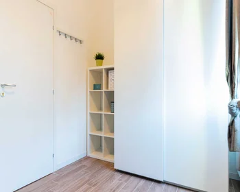 Private room at Viale Alfredo Oriani, image 5 of 18