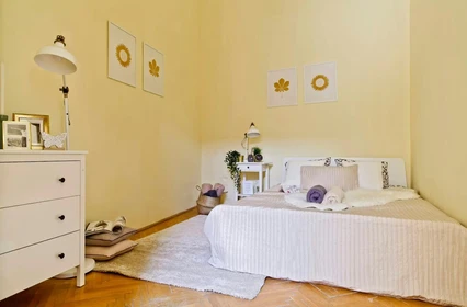 Room for rent in a shared flat in Budapest