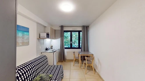 Mieszkanie z 2 sypialniami w Grenoble