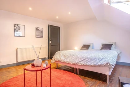 Cheap private room in Ghent