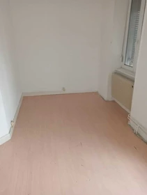 Chambre à louer dans un appartement en colocation à Mulhouse