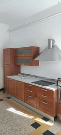 Entire fully furnished flat in Verona