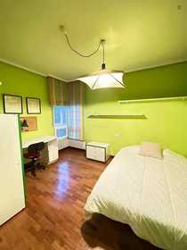 Bright private room in Vitoria-gasteiz