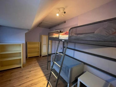 Pokój do wynajęcia z podwójnym łóżkiem w Den-haag
